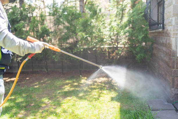 Best Flea Control Services  in Gates Mills, OH