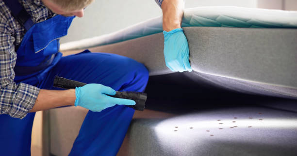 Best Local Pest Control Services  in Gates Mills, OH