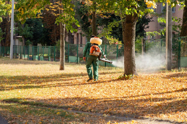 Reliable Gates Mills, OH Pest Control Solutions