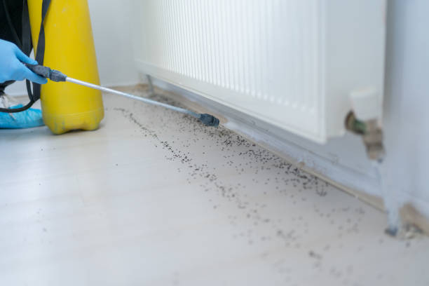 Best Affordable Pest Control Services  in Gates Mills, OH